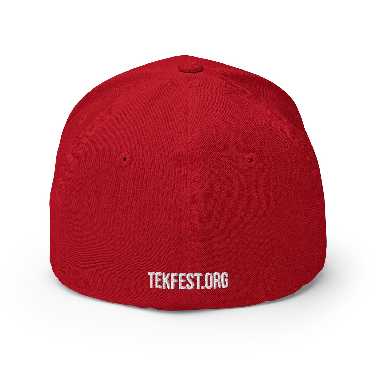 TEKFest24 FlexFit Color Hat